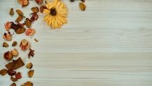  Duna Relax &amp; Event Hotel**** - Ráckeve Különleges tavaszi szieszta - teljes ellátással 